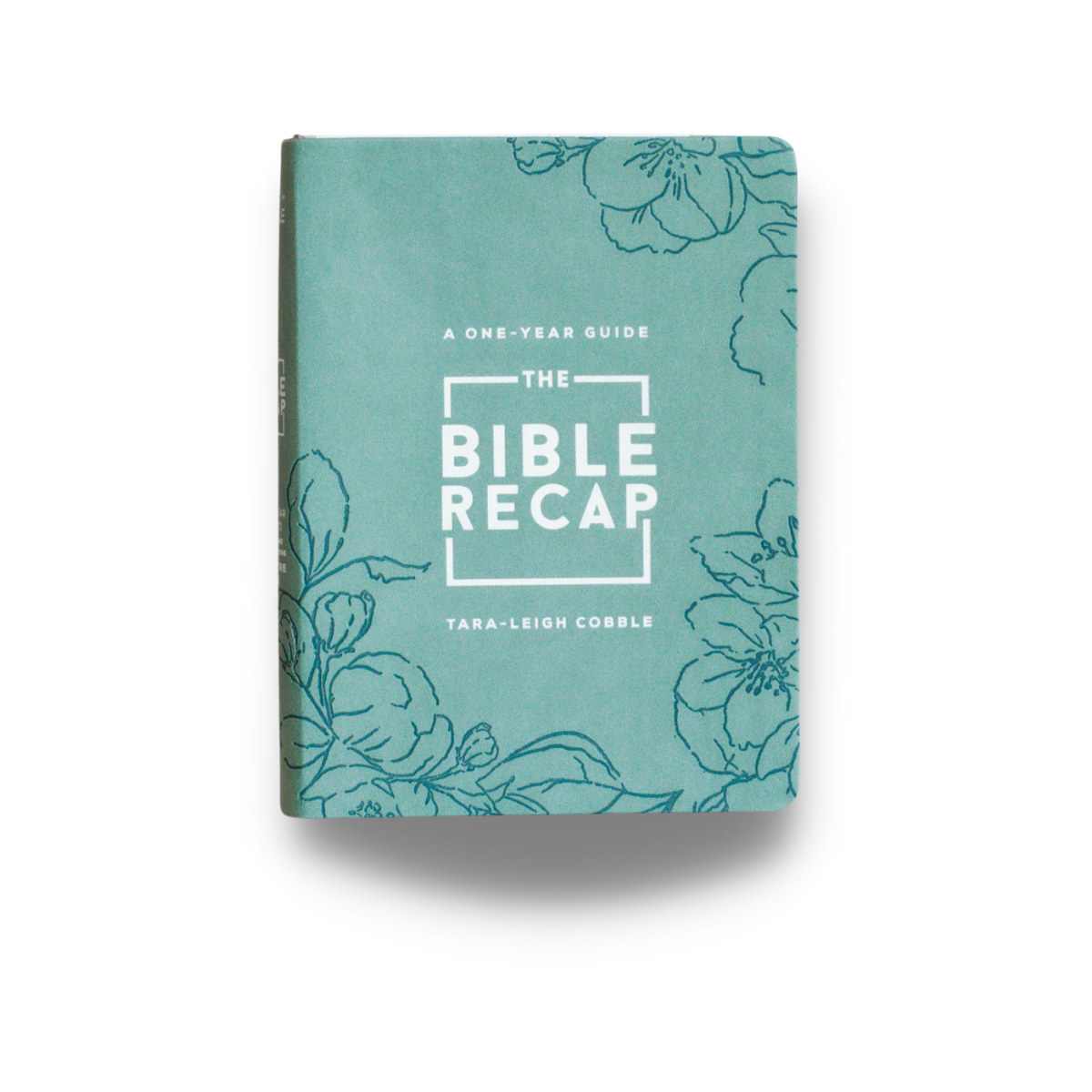 The Bible Recap: Sage