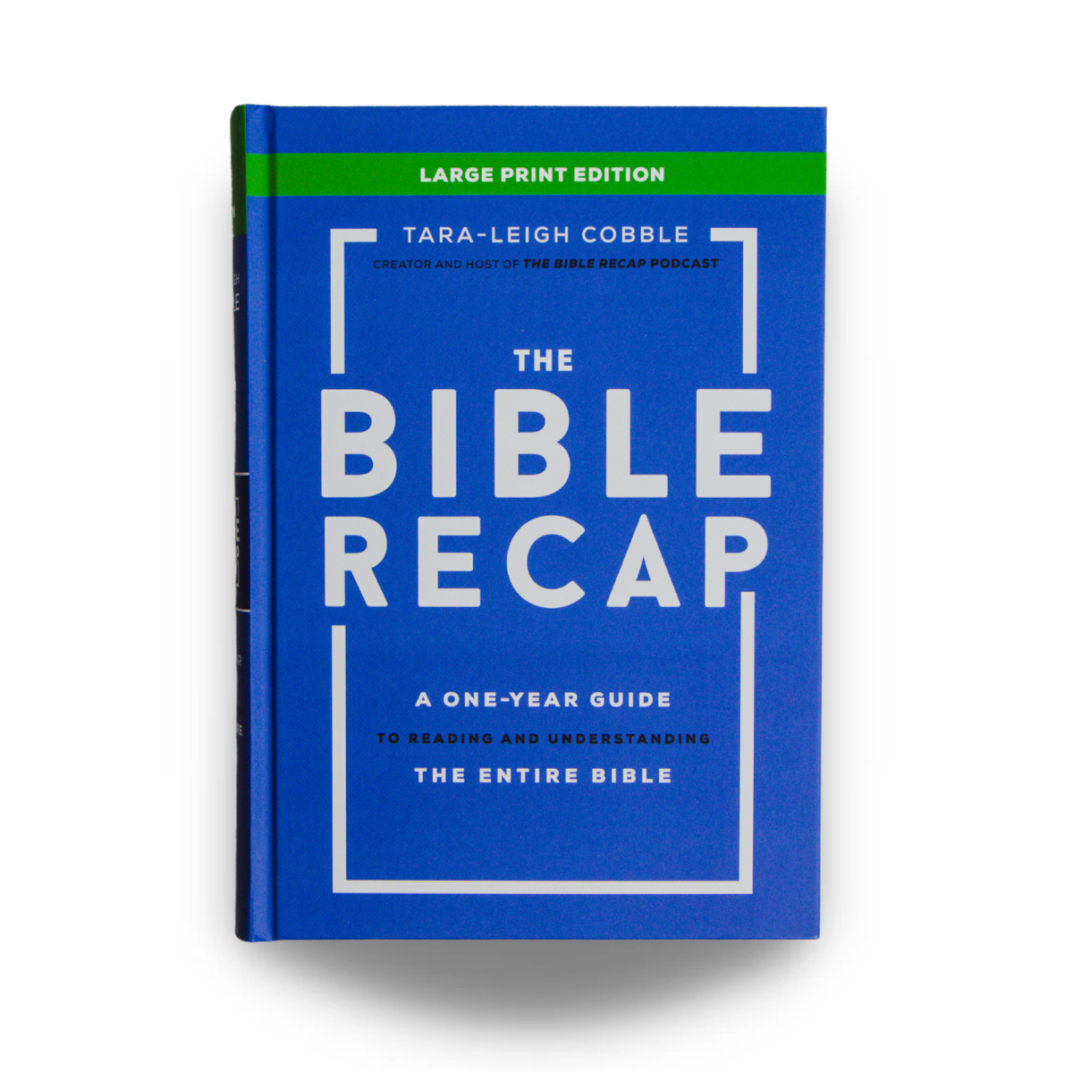 The Bible Recap: Large Print Edition