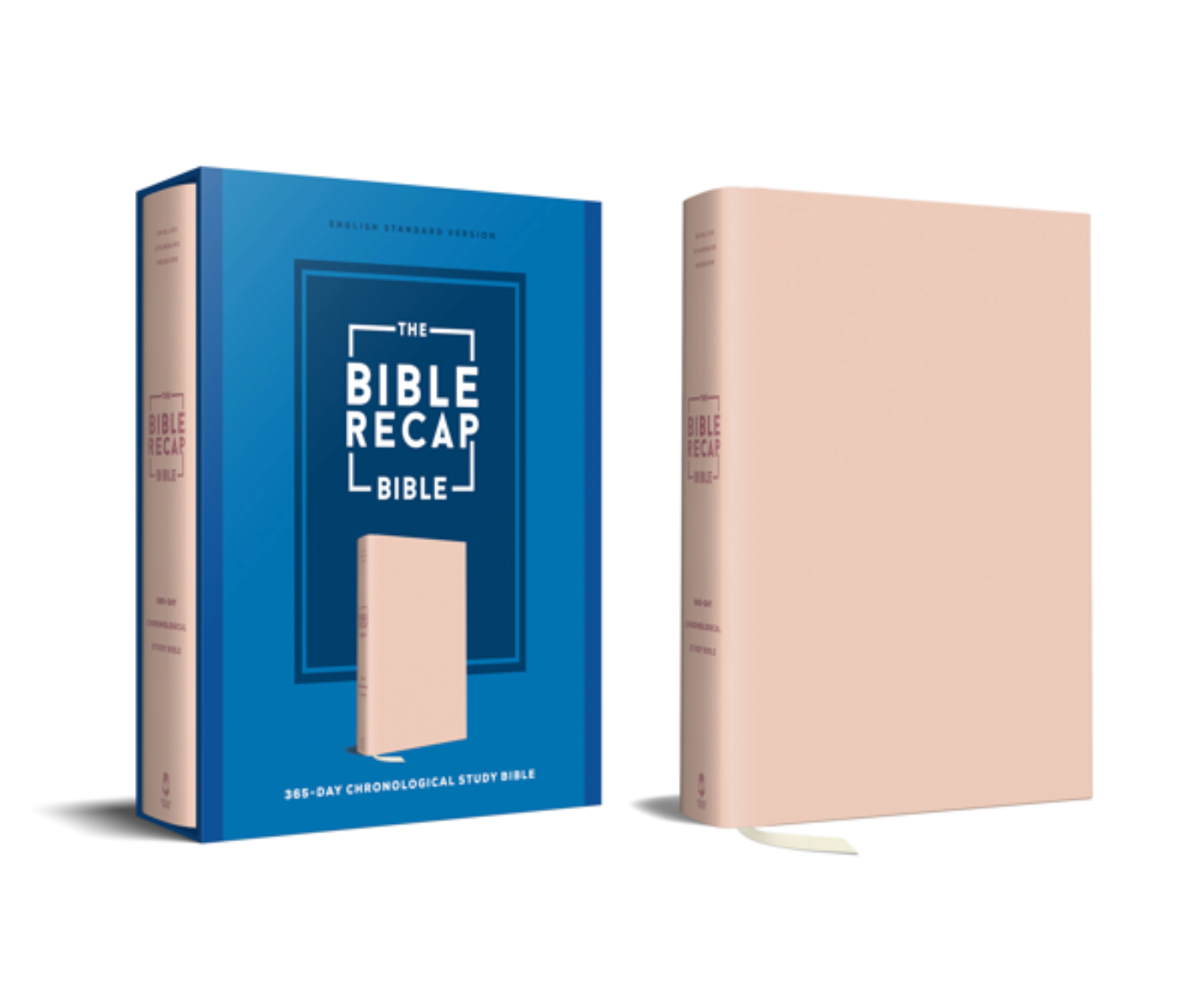 The Bible Recap 365-Day Chronological Study Bible - Pink