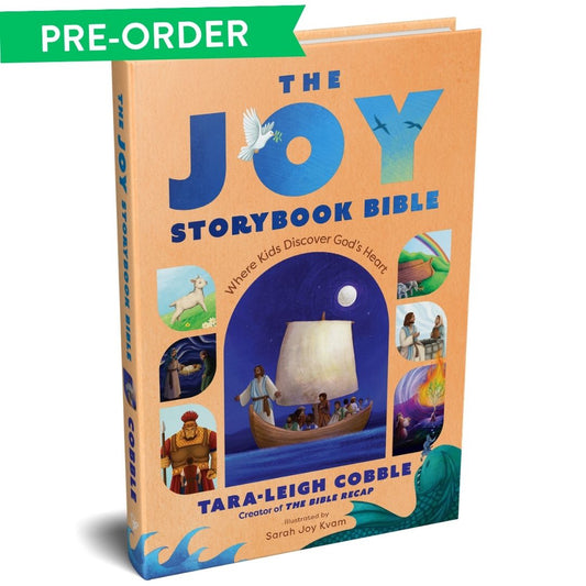 The Joy Storybook Bible