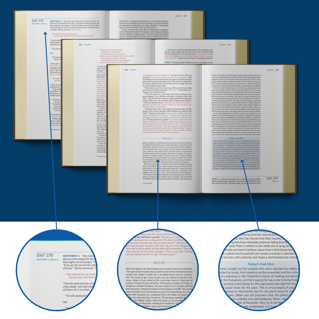 The Bible Recap 365-Day Chronological Study Bible - Brown Vegan Leather Softcover